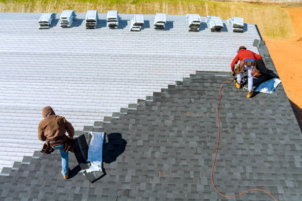 Best Roof Moss and Algae Removal  in Ol, LA