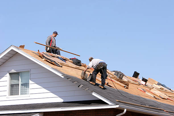 Best Gutter Installation and Repair  in Ol, LA